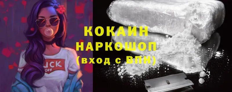 Cocaine Fish Scale  MEGA tor  Отрадный 